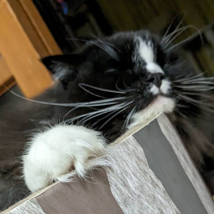 0e72e8c7 4011 4916 b3af b6849347df1e 1693313169750