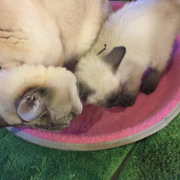 0e7302a5 e034 4adb 9b90 385e6ba3aa0c 1574841237525