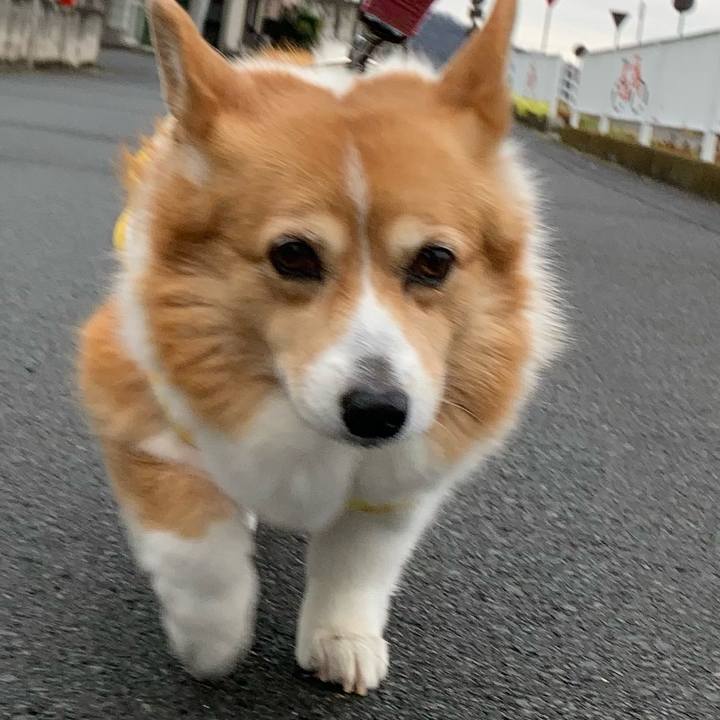 0e730396 305d 412b 8b2a f18e2ed71ff9 1708589281585