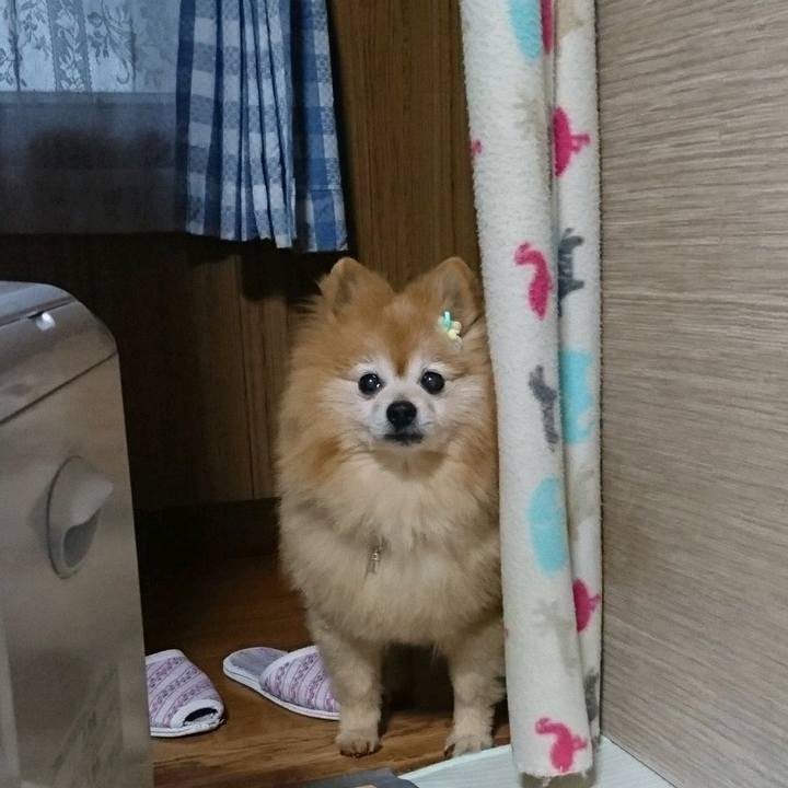 0e732511 f074 45e1 937b 49c194f3d0ed 1556702112040