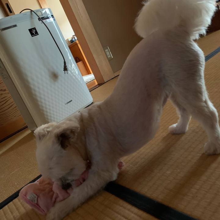 0e733f92 b4e6 4544 a31e 3ff42c0583b6 1625287104173