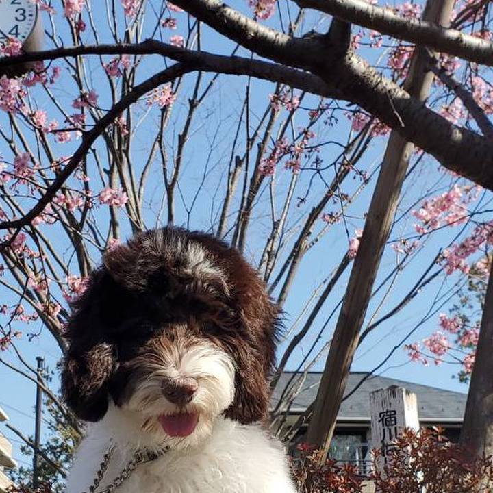 0e7367d1 bbf3 4726 bedd df2e88053360 1614045157377