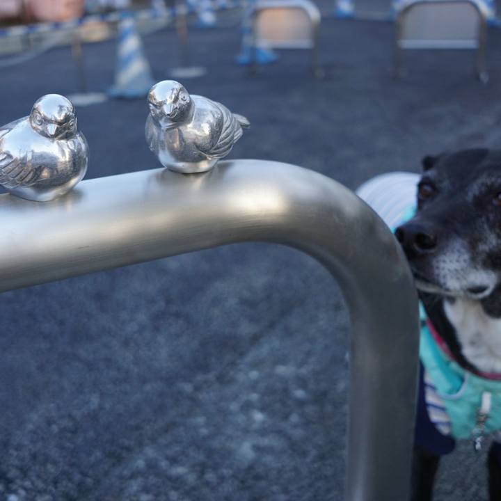 0e737b52 a8da 4a23 a7a8 0257803f7575 1769561448362