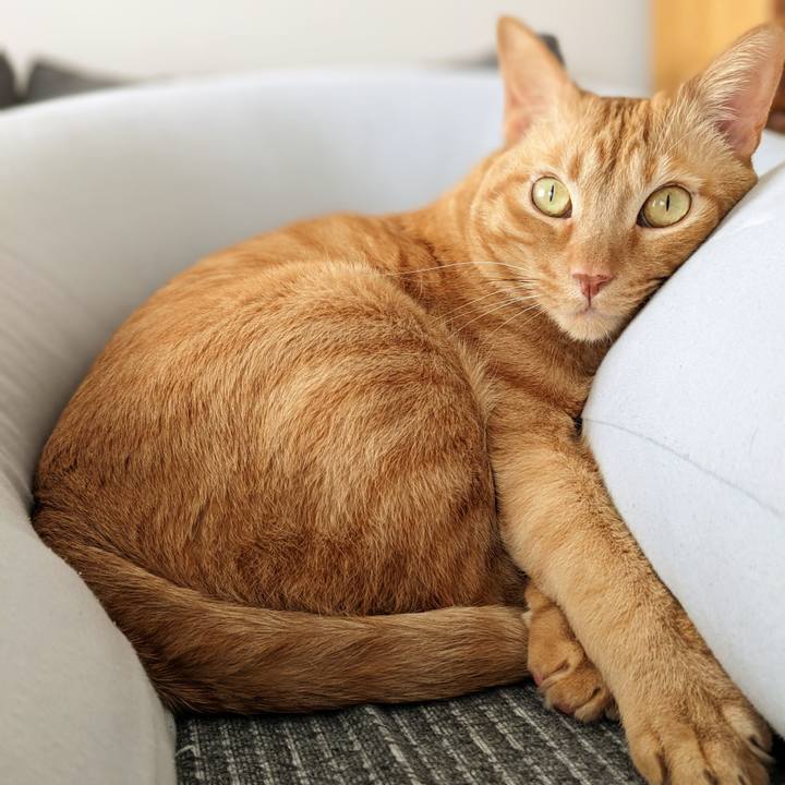 0e73adbd 8559 4b07 a31e 8e57c77c7bf8 1678172982176