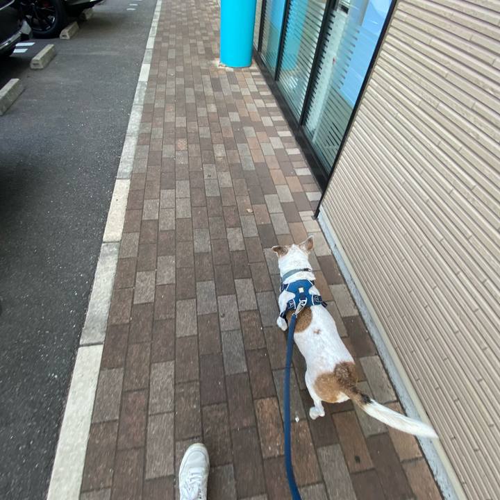 0e73bc15 7172 4a7c 8dfd dde812273b85 1656668106203