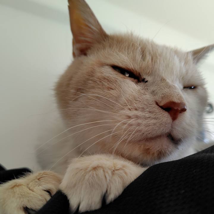 0e73e883 b81e 4bca b4e0 5a903a9a5aaf 1736733651231