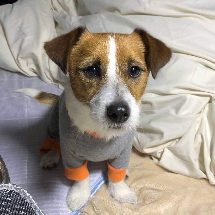 0e73f09f 235d 49b7 95ac 4cdd0ffb470c 1520339833767