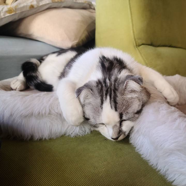 0e748b42 9dc1 4cf4 9a2b 8ecec49f0a2f 1655218755041