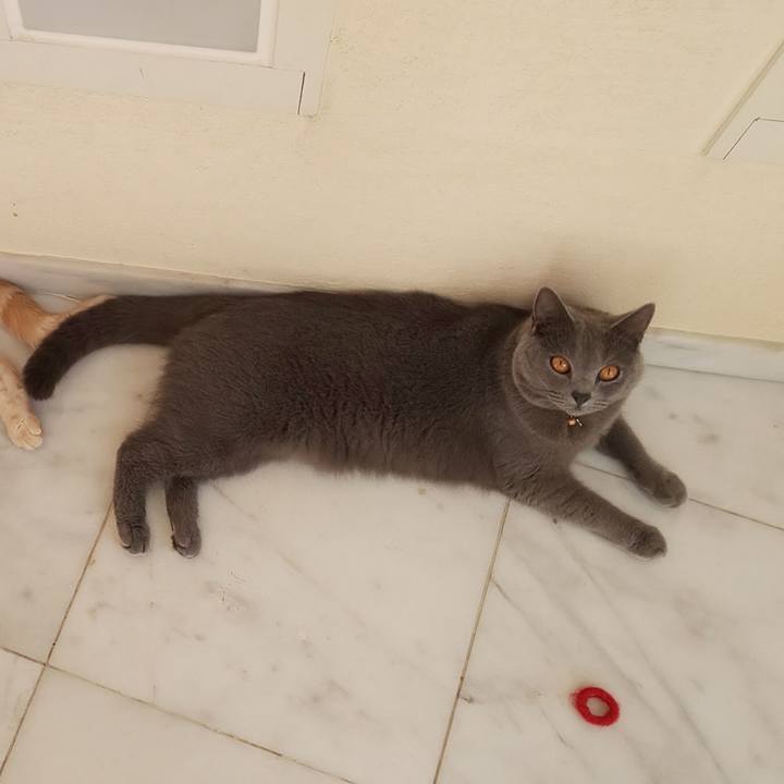 0e74a578 f300 4ada b909 1e94eebcc9bf 1538882651513