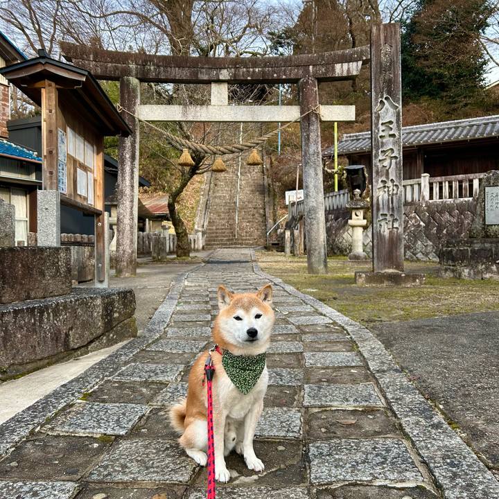 0e74a68c d13b 4203 988a f602cf868b33 1704877586091