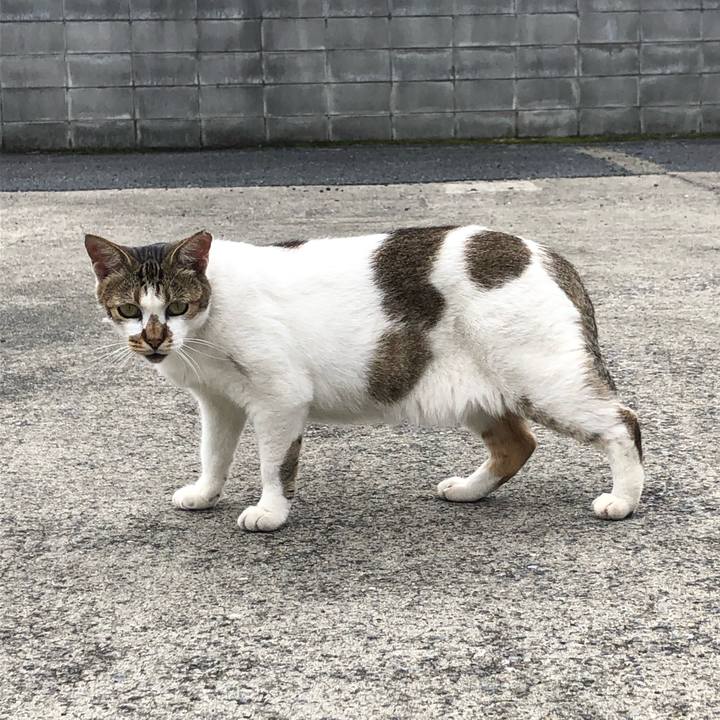 0e74bf5f c621 4d7d 894a 123e03ef8b25 1599967137808