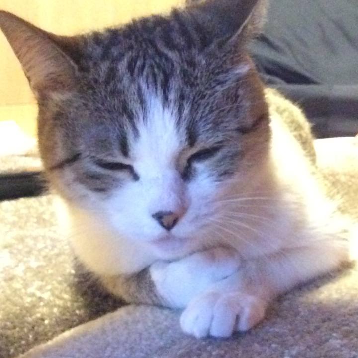 0e74d540 779a 44c2 88de 4cc8bba1cc9b 1766617012958