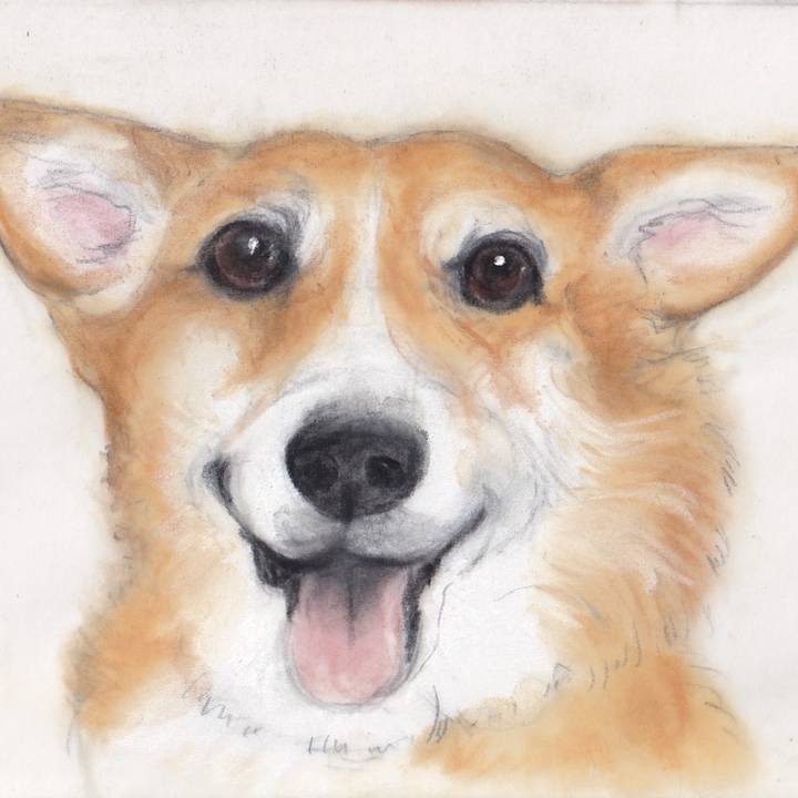 0e754bc3 484b 49c6 bf88 535c00e0a49c 1748310275135