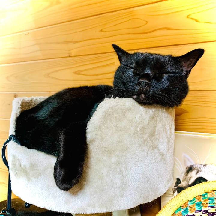 0e754e8e 816f 44ed ac13 eee5f8f9cbd9 1630031733672