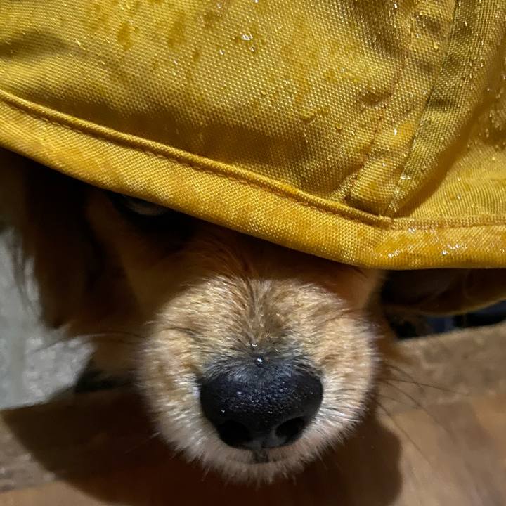 0e755e73 843f 4177 ad88 fa50293e28d9 1580075601817