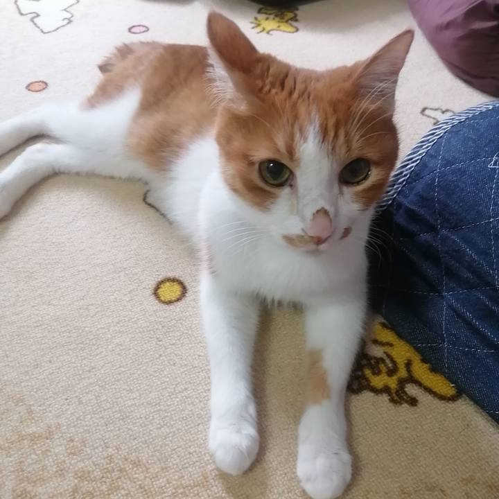 0e75c325 e031 4807 9299 843486d28ada 1663795700633