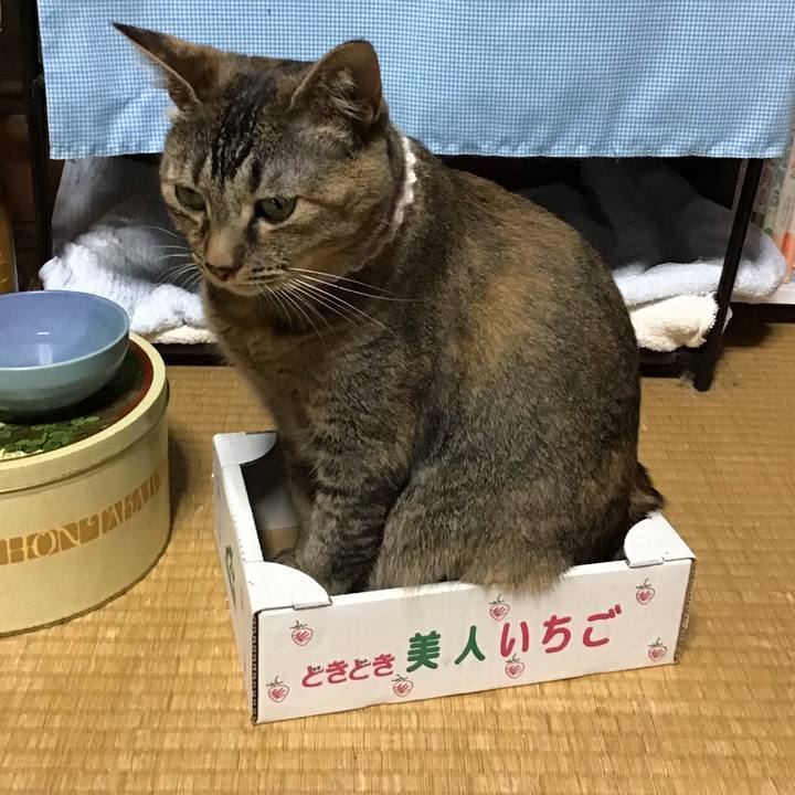 0e75d72e 0416 4bc4 aa0b 1f5d1ce1547d 1656759168828