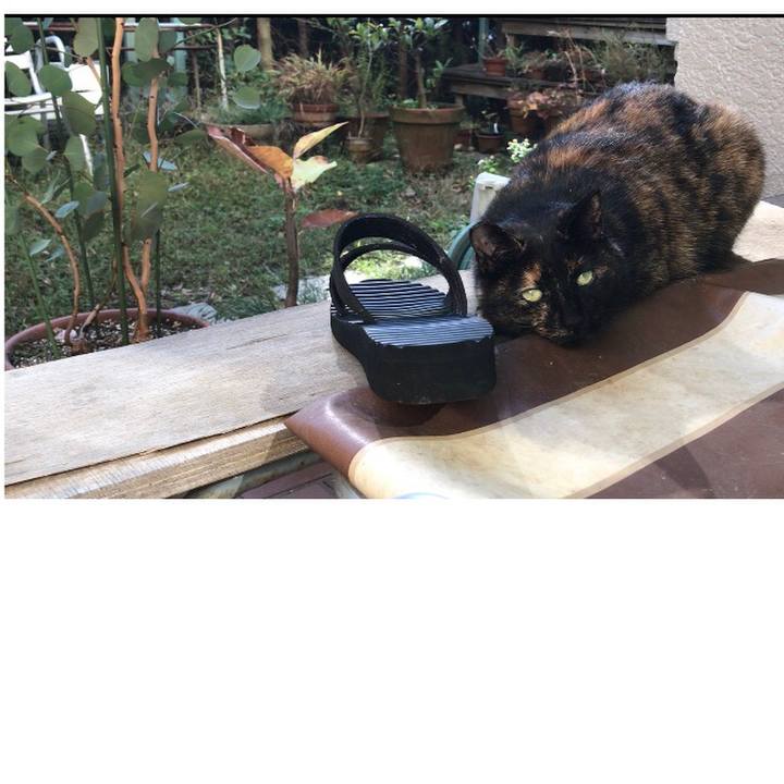 0e760397 a057 4de5 b75d 1e4d8a17df45 1510979525148