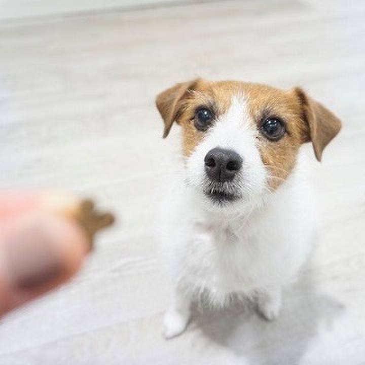 0e761253 1d15 4903 9aa7 e3e8023374cc 1550505357270