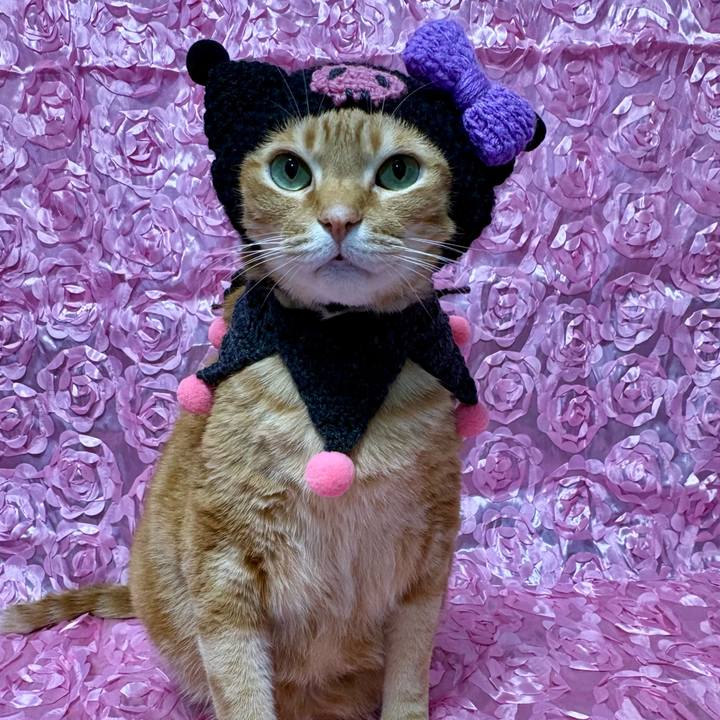 0e761765 930a 474e bfa4 63beda0c0932 1769603411729