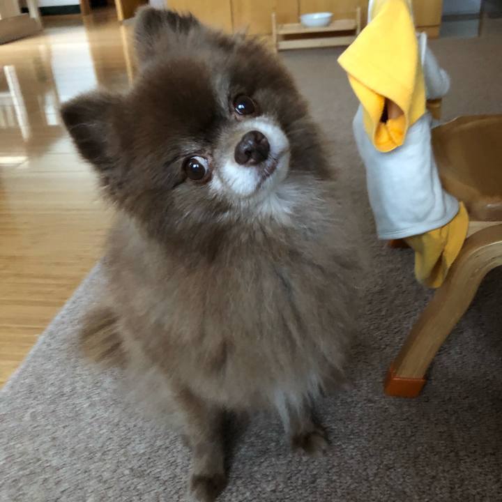 0e764ef2 c697 4801 8b49 66e804d415de 1575166702792