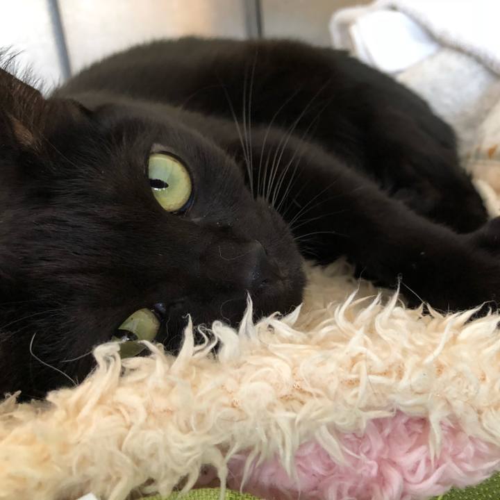 0e76a395 09a1 46a5 bc4a a2a288b47dcd 1539410207113