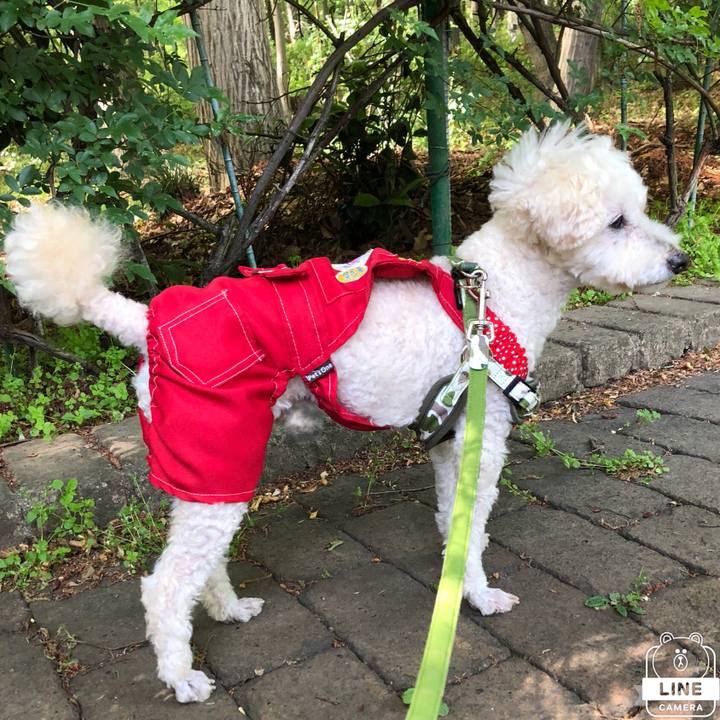 0e76a3d7 9270 4c99 902d 6e20f03e9631 1525794711106