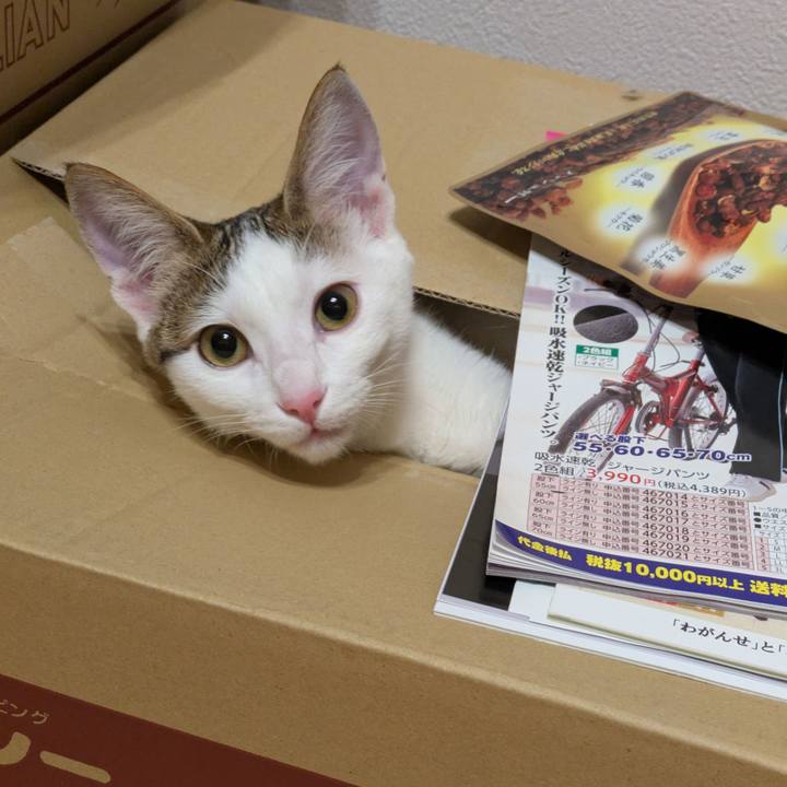 0e76b137 4f4c 425b aa36 a0d167df46fb 1772273894258