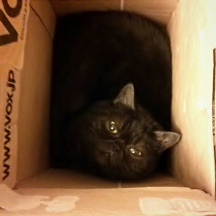 0e76bb30 2a6a 40b2 83c0 4b8cde31a70a 1581206858932