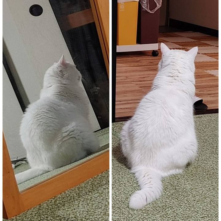 0e76d83c e3a0 4f5f 9305 7c89b27da54d 1656235741143