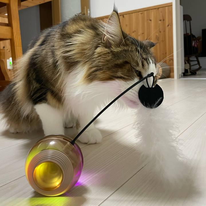 0e76f845 6374 4911 bae3 531d0ba5c6ab 1656671172519