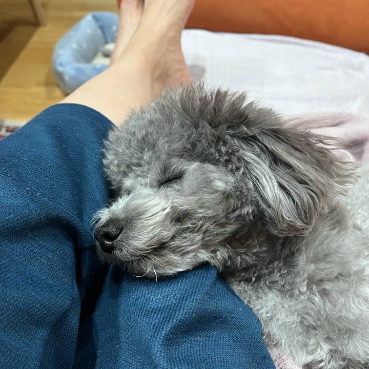 0e76fbf5 a4b3 4b8a 91b9 20d4179806a0 1769752376916