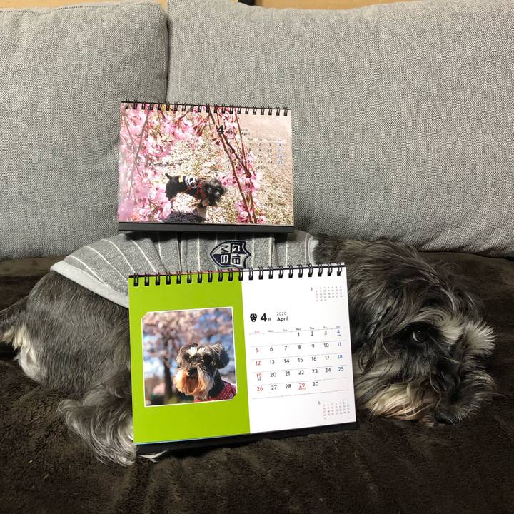 0e7723ba 3d60 435a bcfe a9b055ec520f 1586098252911