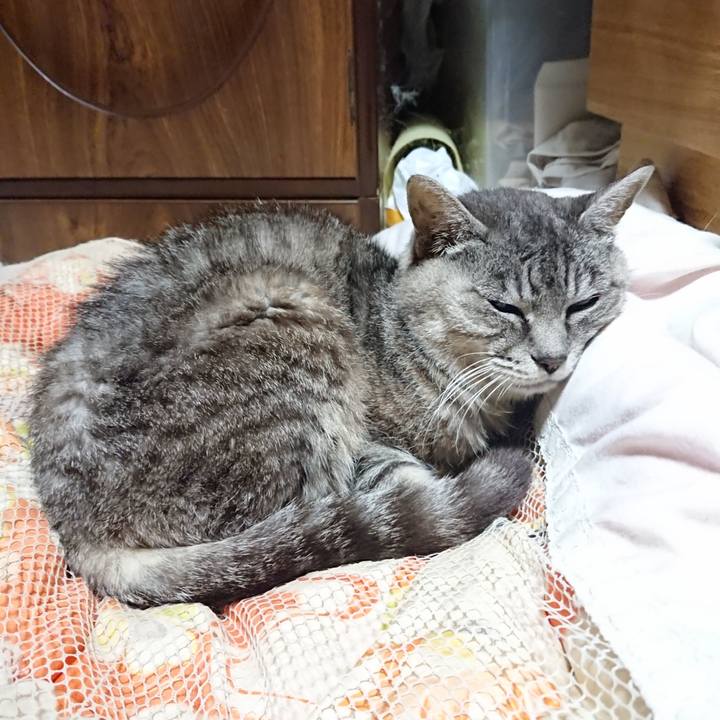 0e7738f2 5a99 472e b8ed 848a78551885 1570105250363