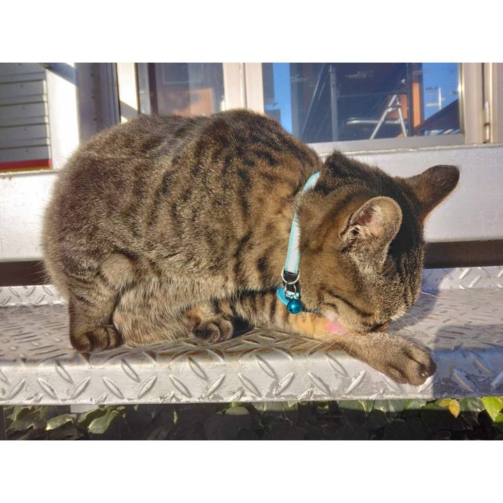 0e773bb7 5938 473f bd5f 30429c5daa27 1702643345811