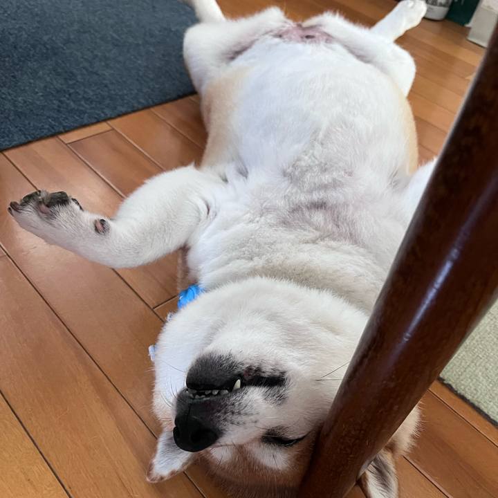 0e773ddd ae44 4309 899d 35e8419b5d60 1689039247782