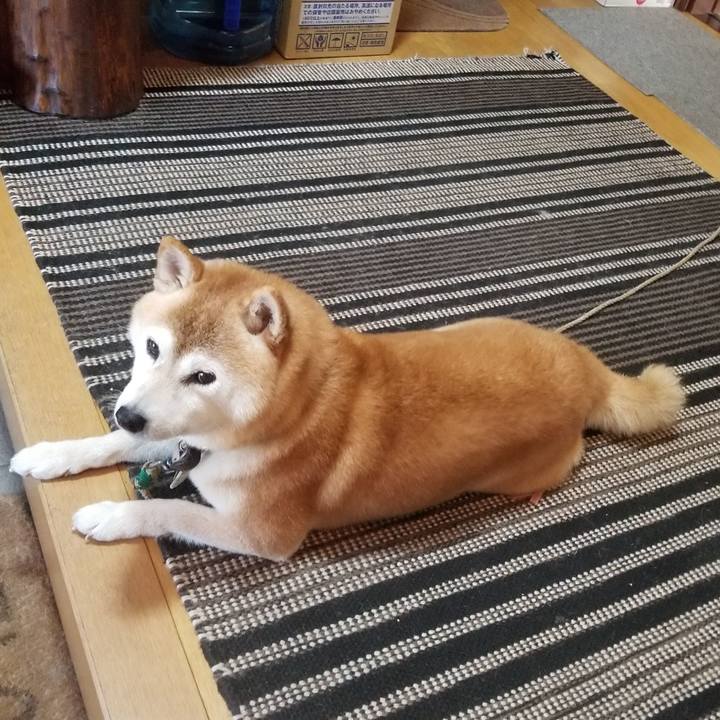 0e77bbd2 b207 4822 9fde cf1a145da4d1 1703038072412