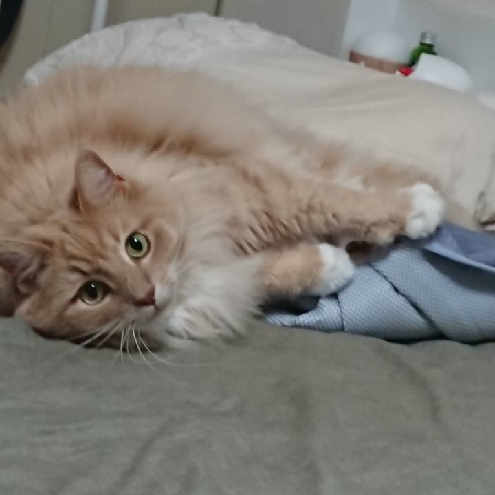 0e77d4b2 99bd 482a a6f6 4ec40407dd79 1591974829424