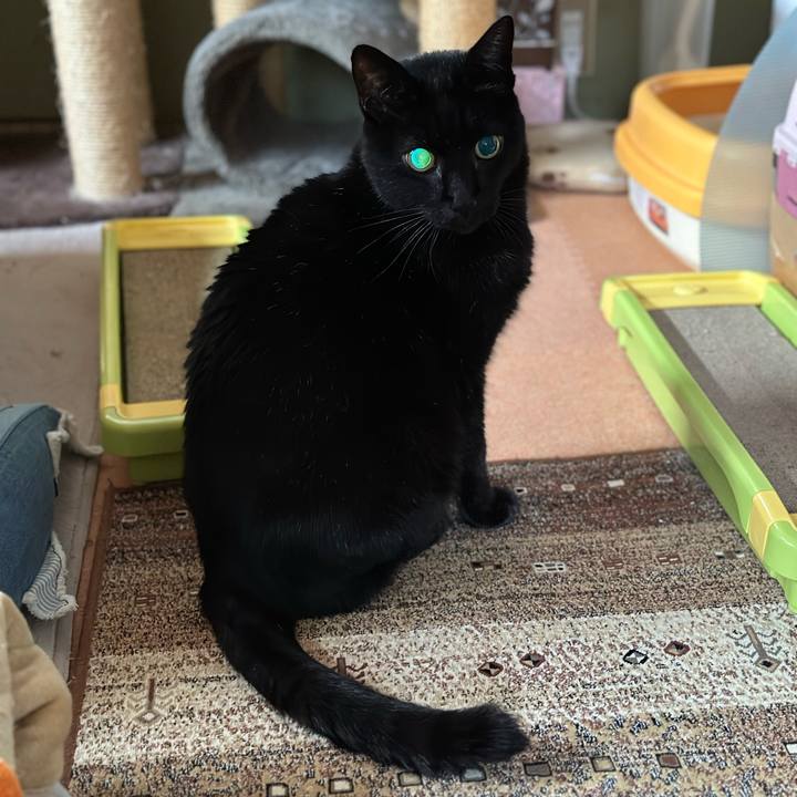 0e77df0f 56b4 4074 9f60 cdce7536608a 1670121611866