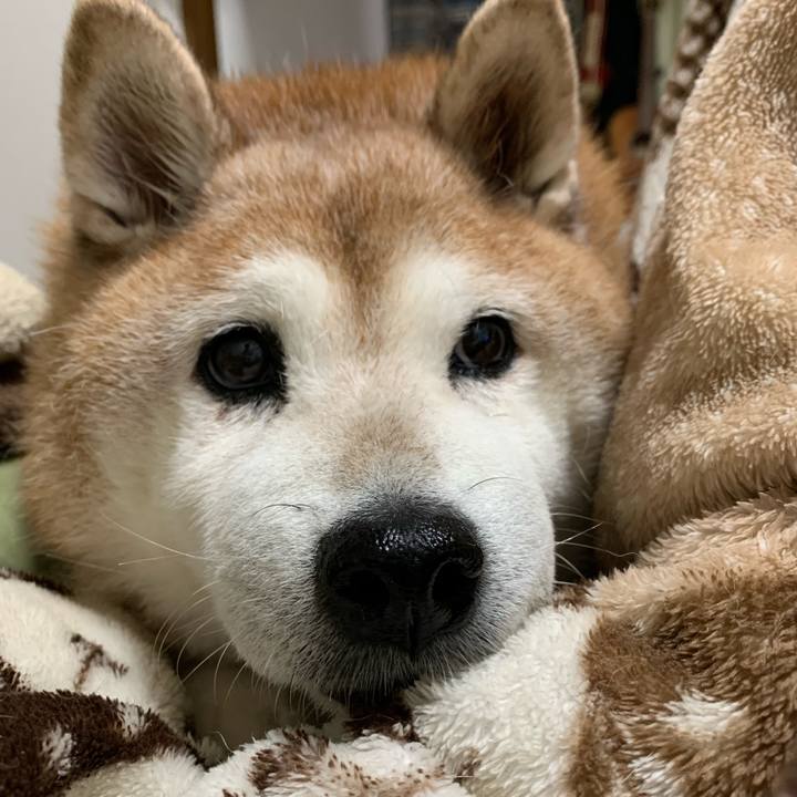 0e78091a 0850 4c04 8db6 ce452879a78e 1605614082334