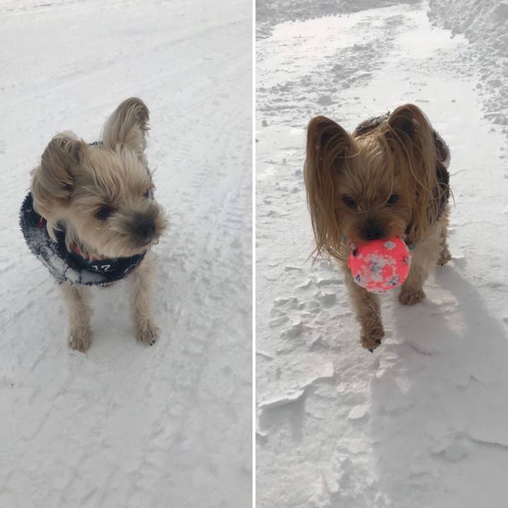 0e7811cc 5189 4f3b 9b63 350f620213f3 1575453616746