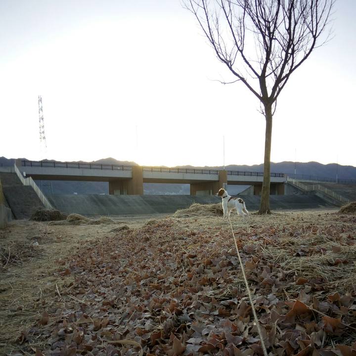 0e7812aa d8cb 47b6 aaa9 e8dca37f41e6 1515889419119