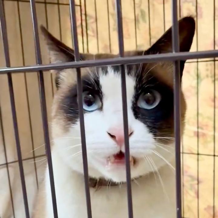 0e782b21 5bcc 4043 9474 1c9cb9627c8a 1774495634275