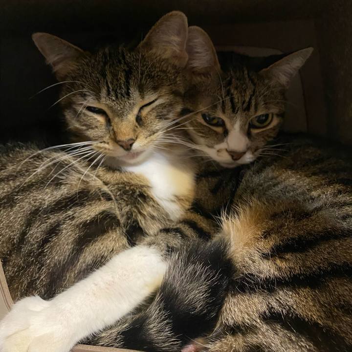 0e7830ae 6f60 46dc 8466 06734c518f3e 1632222784517