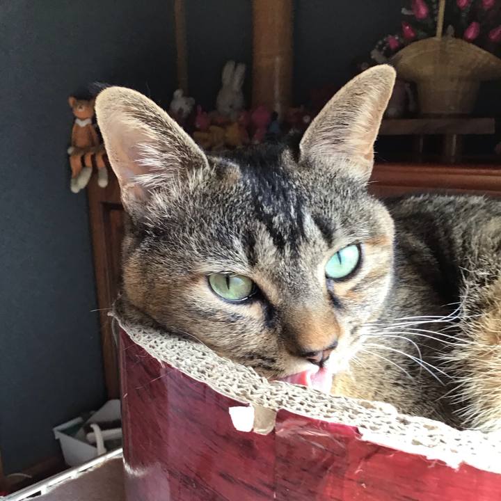 0e7848ef 5861 4289 b382 987d534c5860 1741317281853