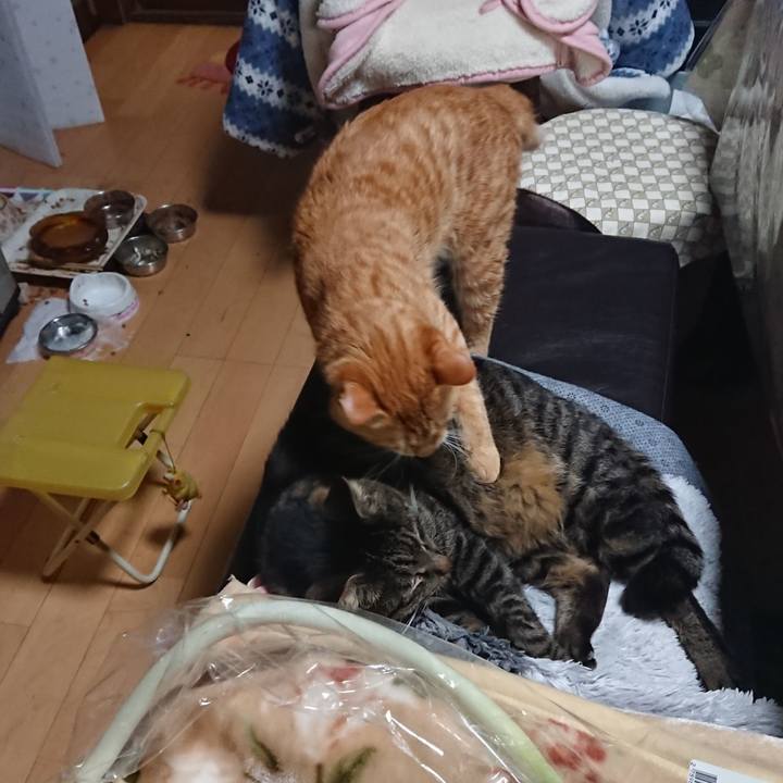 0e786b27 8960 4b1a 8f5e 5ac30ebafcff 1644488274710