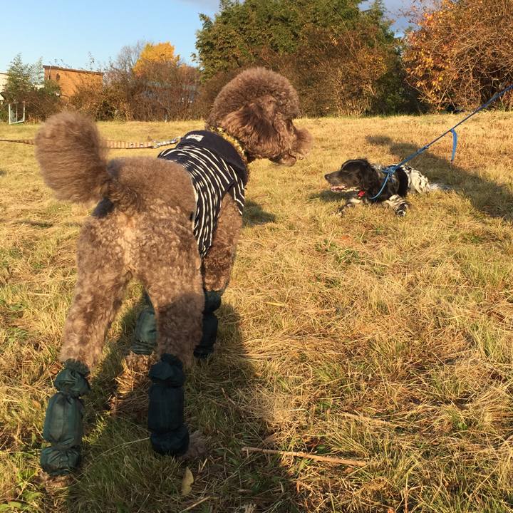 0e786fc5 e1a6 4286 b7ec 50d792719e53 1512319199882