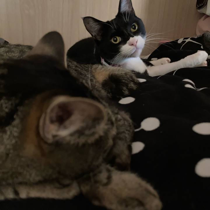 0e789939 48bc 4bdb ae11 07b8dc5484e4 1617160307428