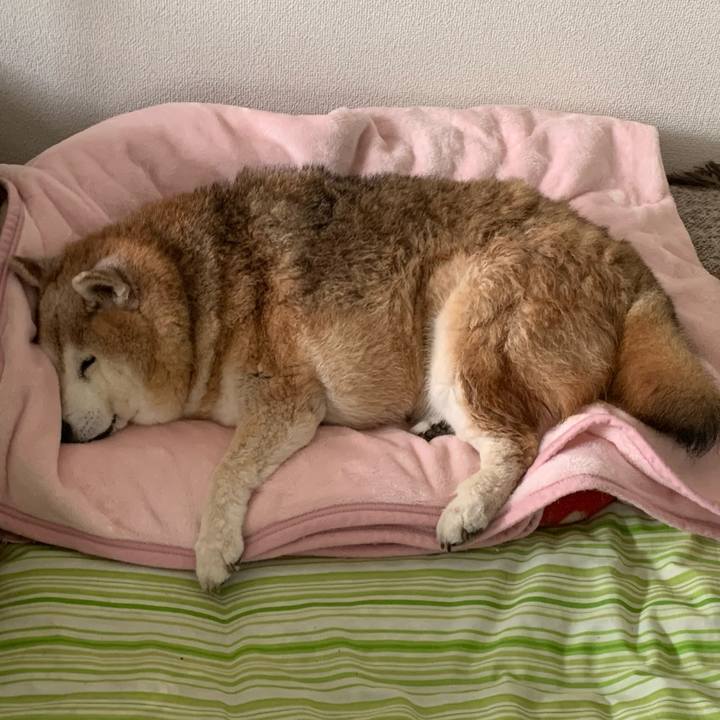 0e79729c 480c 4303 a029 2ae63f8153f6 1652599526425