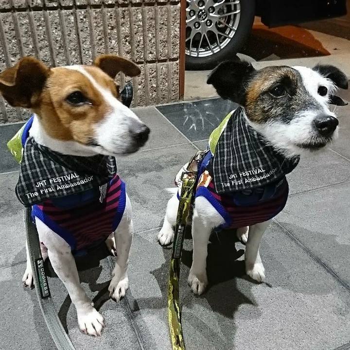 0e7976ca 8158 41aa b648 ac8bd6240f85 1542116929379